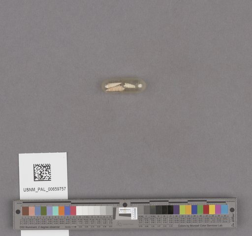 NSF ADBC EPICC TCN
