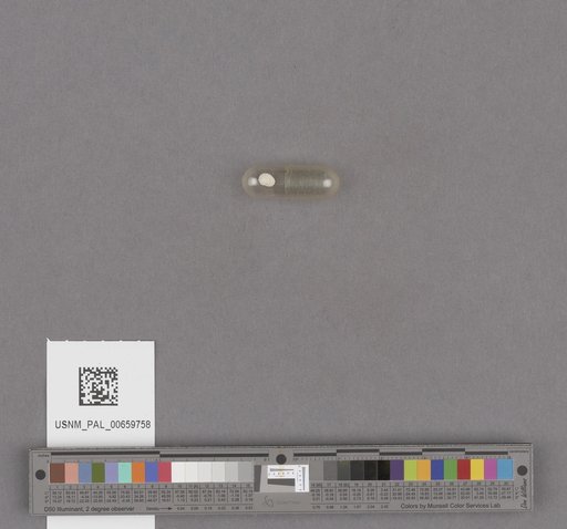 NSF ADBC EPICC TCN