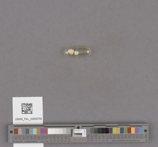 NSF ADBC EPICC TCN