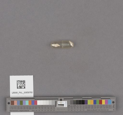 NSF ADBC EPICC TCN