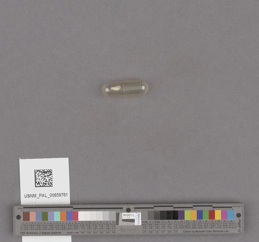 NSF ADBC EPICC TCN