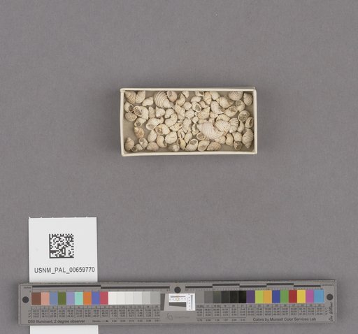 NSF ADBC EPICC TCN