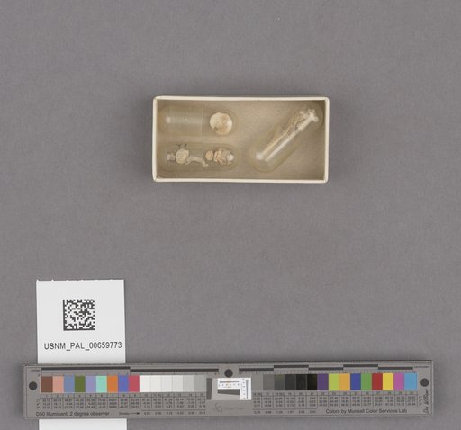 NSF ADBC EPICC TCN