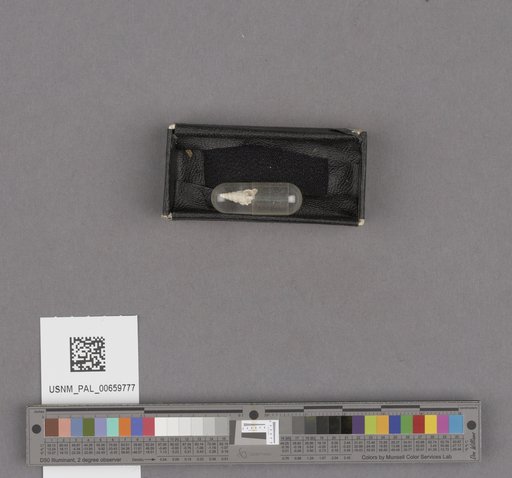 NSF ADBC EPICC TCN