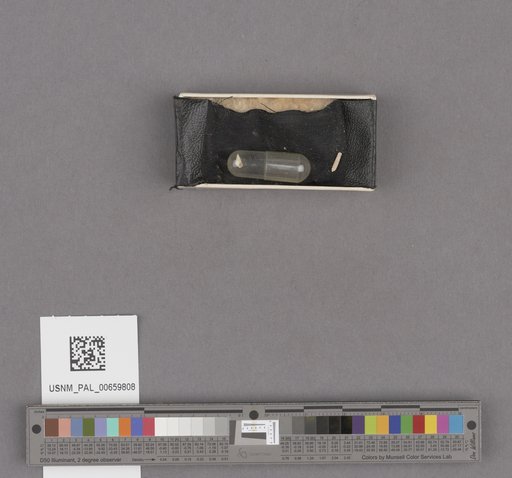 NSF ADBC EPICC TCN
