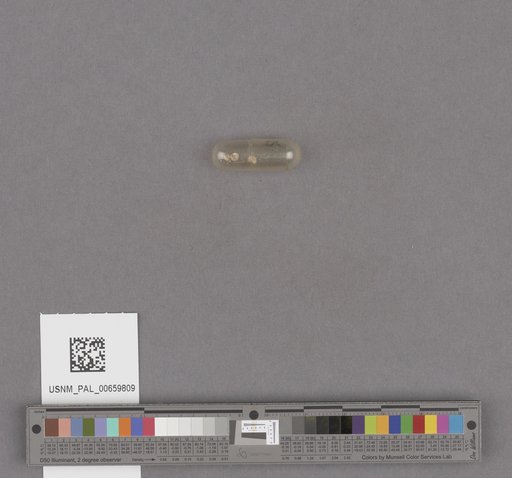 NSF ADBC EPICC TCN