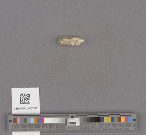 NSF ADBC EPICC TCN