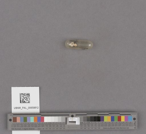 NSF ADBC EPICC TCN