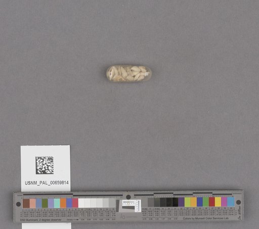 NSF ADBC EPICC TCN