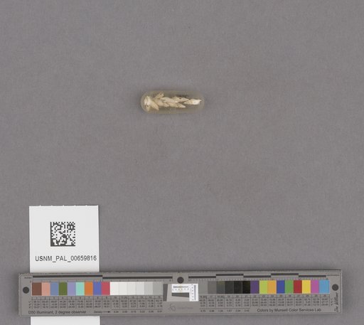 NSF ADBC EPICC TCN