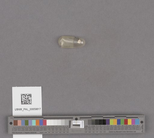 NSF ADBC EPICC TCN
