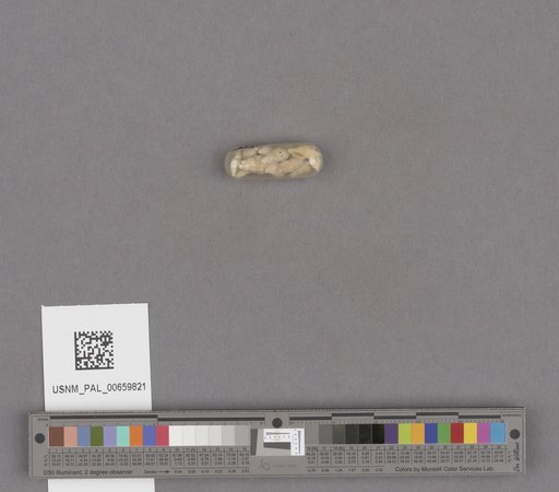 NSF ADBC EPICC TCN