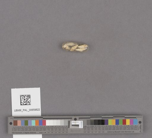 NSF ADBC EPICC TCN