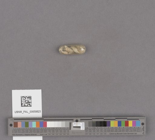 NSF ADBC EPICC TCN