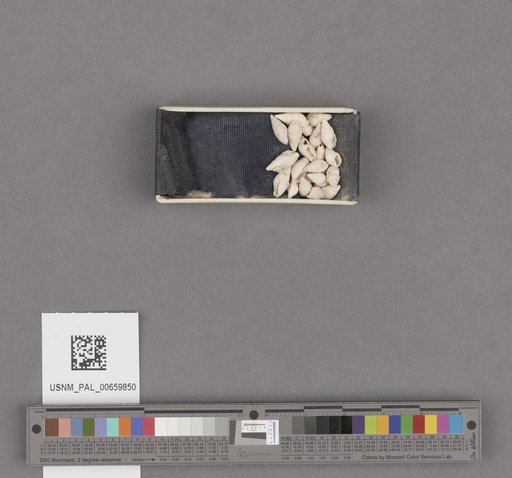 NSF ADBC EPICC TCN