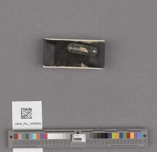 NSF ADBC EPICC TCN
