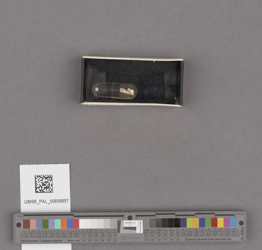 NSF ADBC EPICC TCN