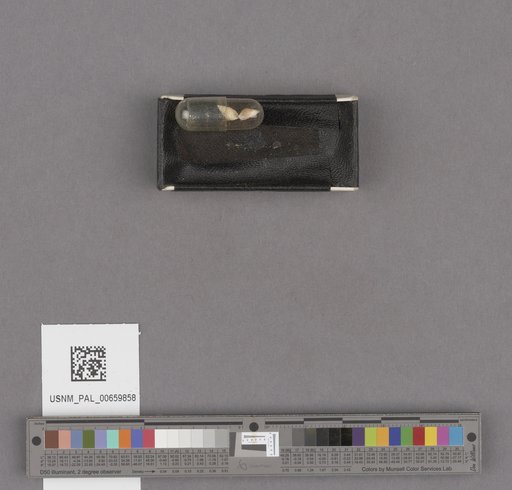 NSF ADBC EPICC TCN