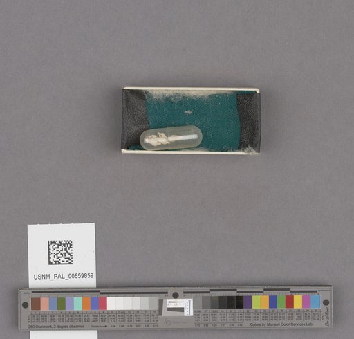 NSF ADBC EPICC TCN