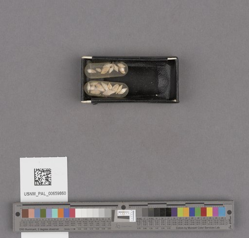 NSF ADBC EPICC TCN