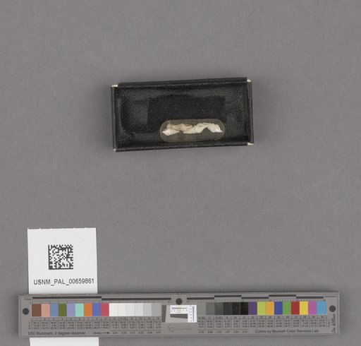NSF ADBC EPICC TCN