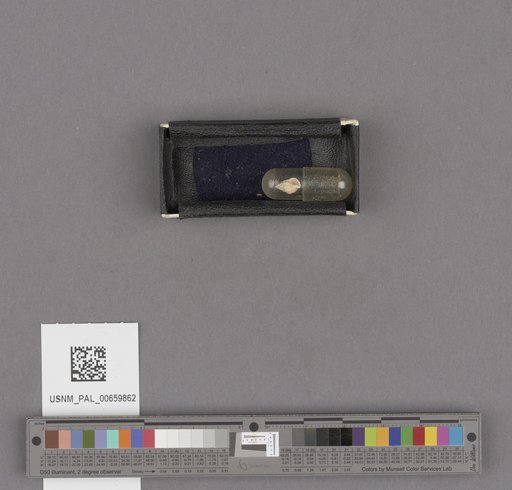 NSF ADBC EPICC TCN
