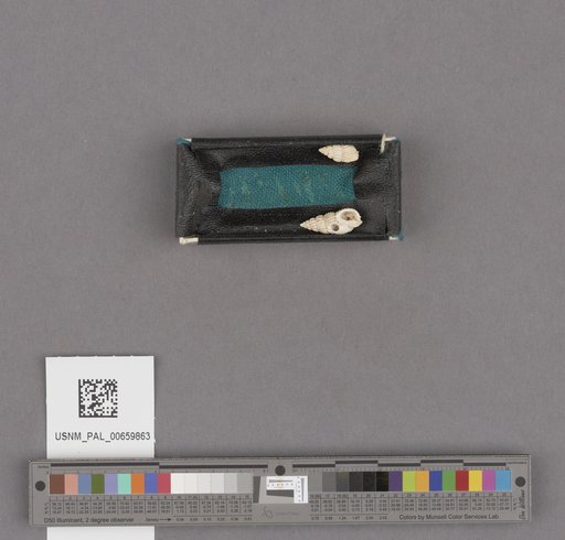 NSF ADBC EPICC TCN