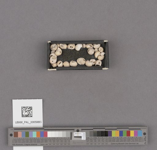 NSF ADBC EPICC TCN
