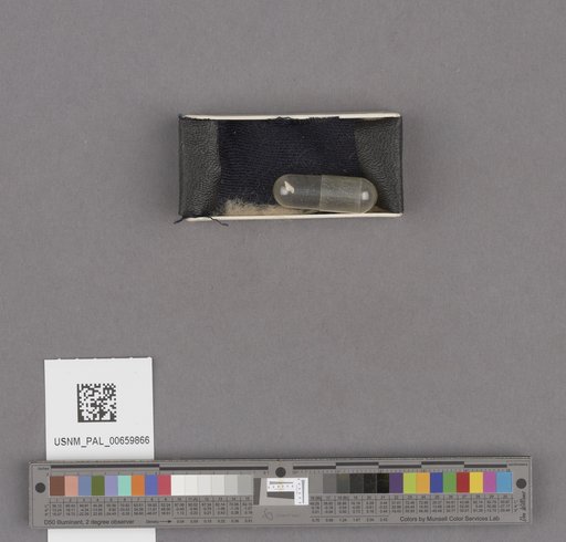 NSF ADBC EPICC TCN