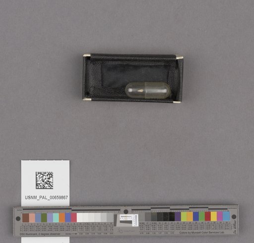 NSF ADBC EPICC TCN