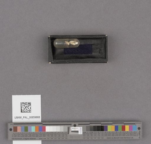 NSF ADBC EPICC TCN