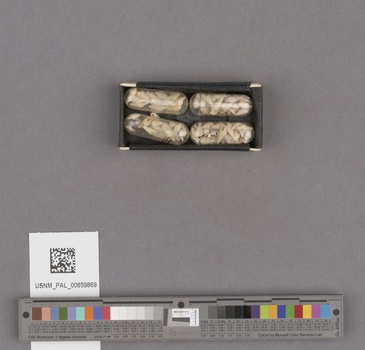 NSF ADBC EPICC TCN