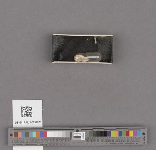 NSF ADBC EPICC TCN