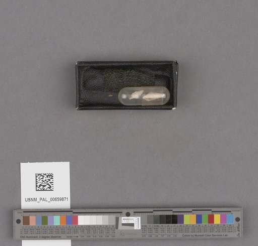 NSF ADBC EPICC TCN