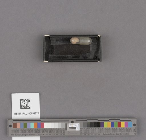 NSF ADBC EPICC TCN