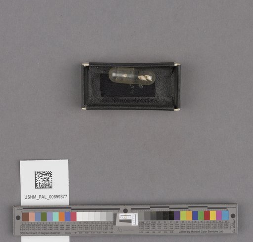 NSF ADBC EPICC TCN
