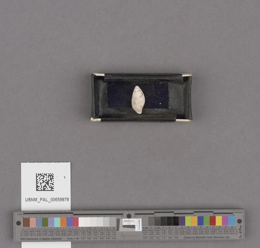 NSF ADBC EPICC TCN