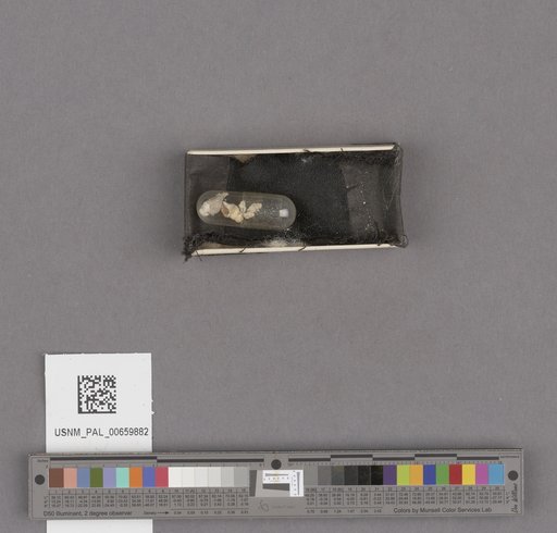 NSF ADBC EPICC TCN
