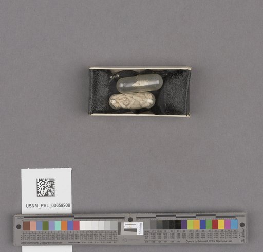 NSF ADBC EPICC TCN