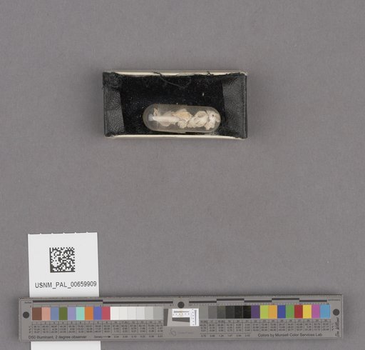 NSF ADBC EPICC TCN