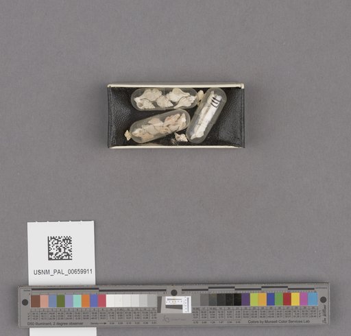 NSF ADBC EPICC TCN