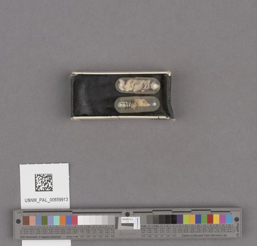 NSF ADBC EPICC TCN