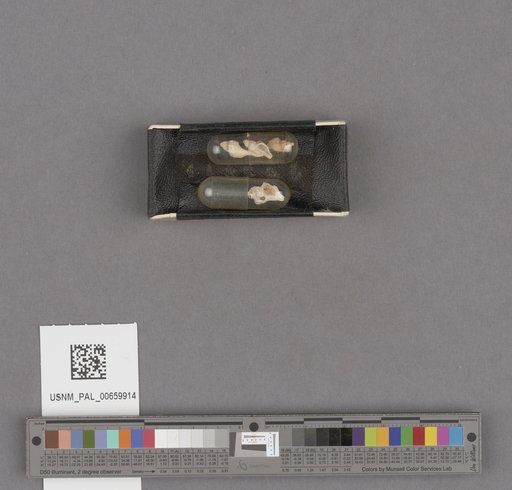 NSF ADBC EPICC TCN
