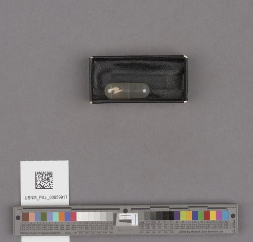NSF ADBC EPICC TCN