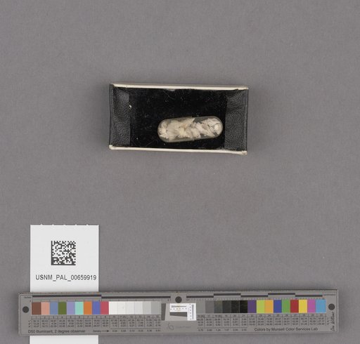 NSF ADBC EPICC TCN