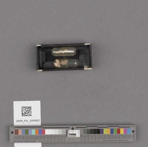 NSF ADBC EPICC TCN