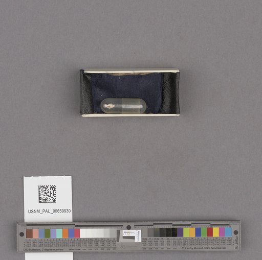 NSF ADBC EPICC TCN