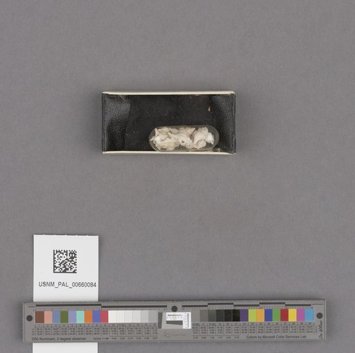 NSF ADBC EPICC TCN