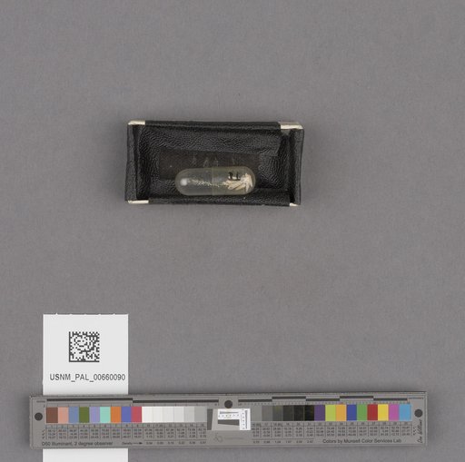 NSF ADBC EPICC TCN