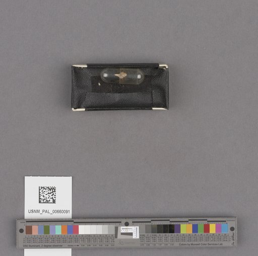 NSF ADBC EPICC TCN
